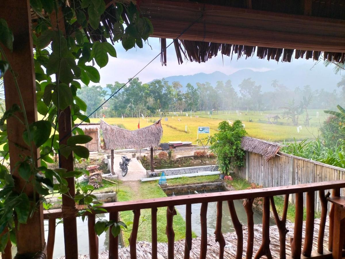 Sumatra Expedition Lodge Bukit Lawang Exteriör bild