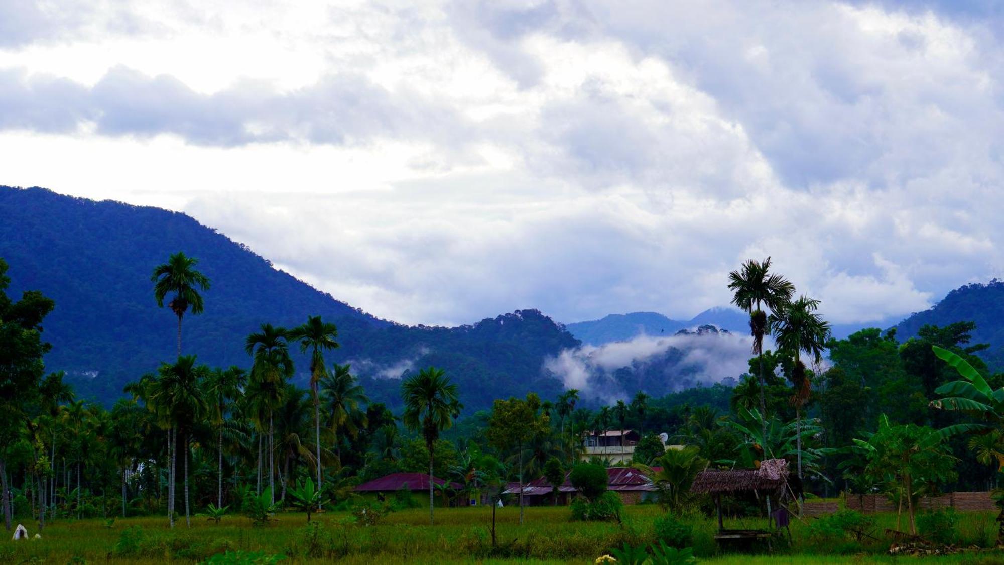 Sumatra Expedition Lodge Bukit Lawang Exteriör bild