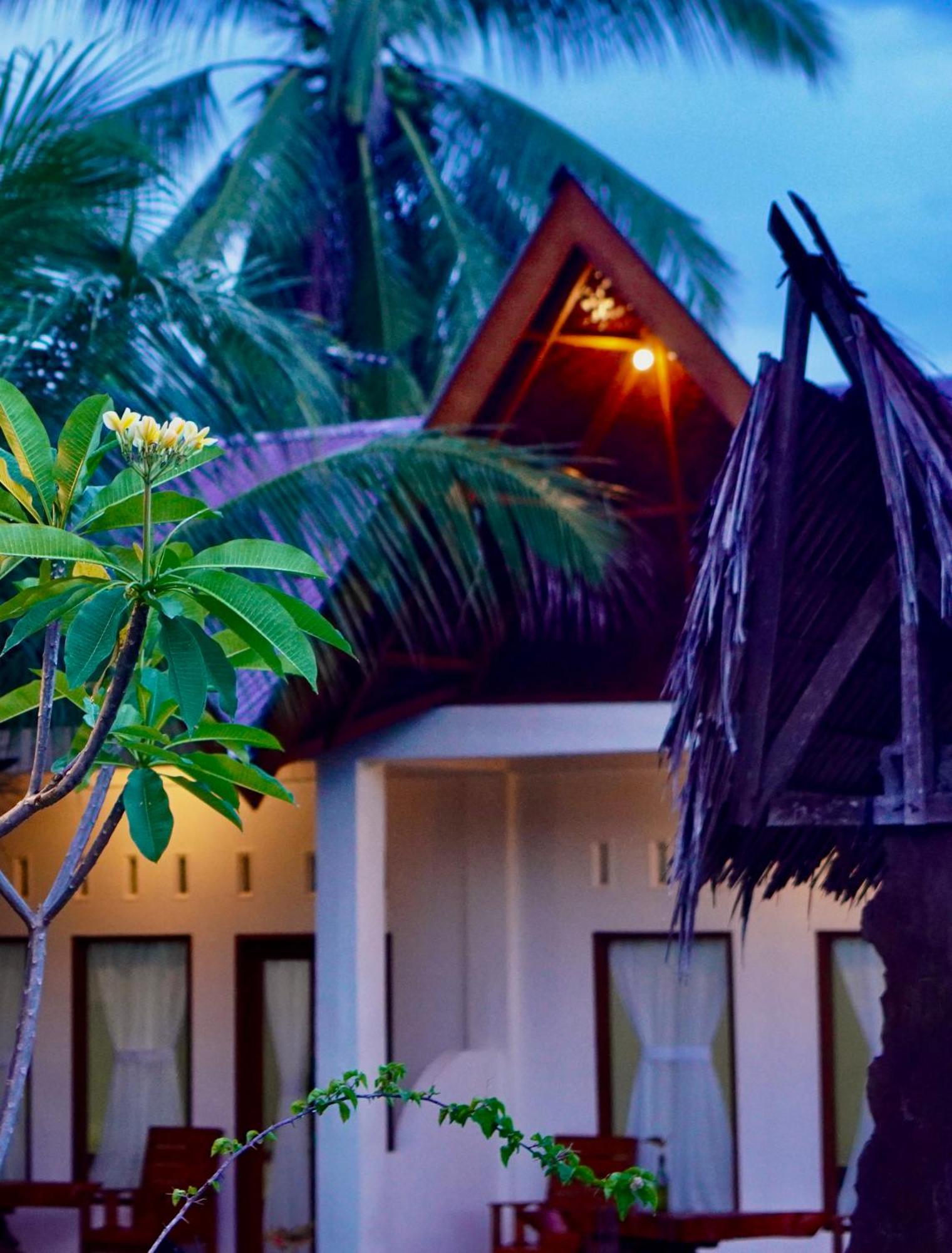 Sumatra Expedition Lodge Bukit Lawang Exteriör bild