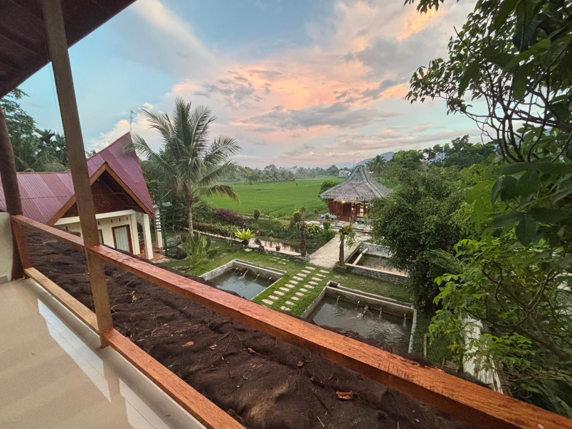 Sumatra Expedition Lodge Bukit Lawang Exteriör bild