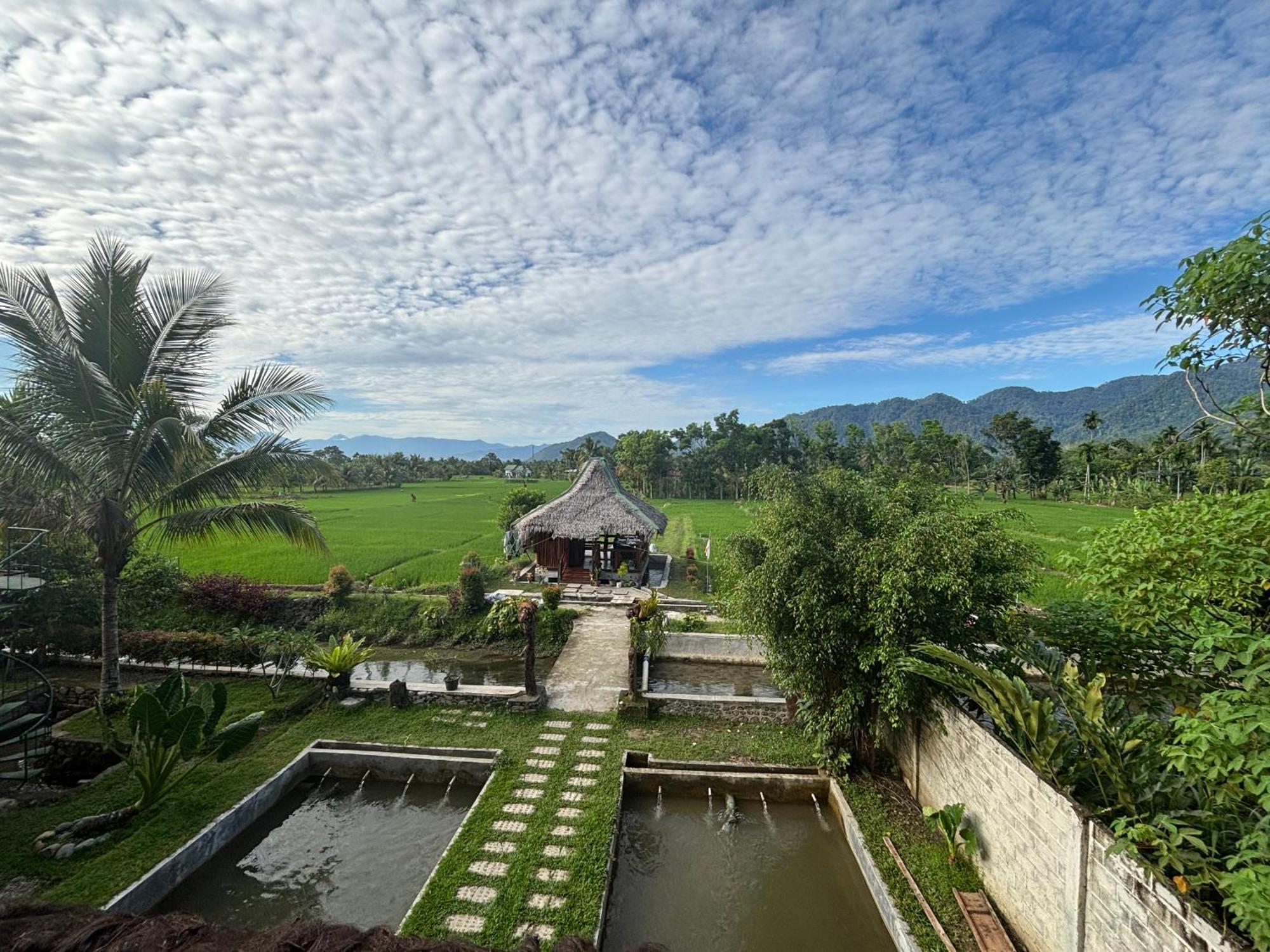 Sumatra Expedition Lodge Bukit Lawang Exteriör bild